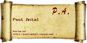 Pest Antal névjegykártya